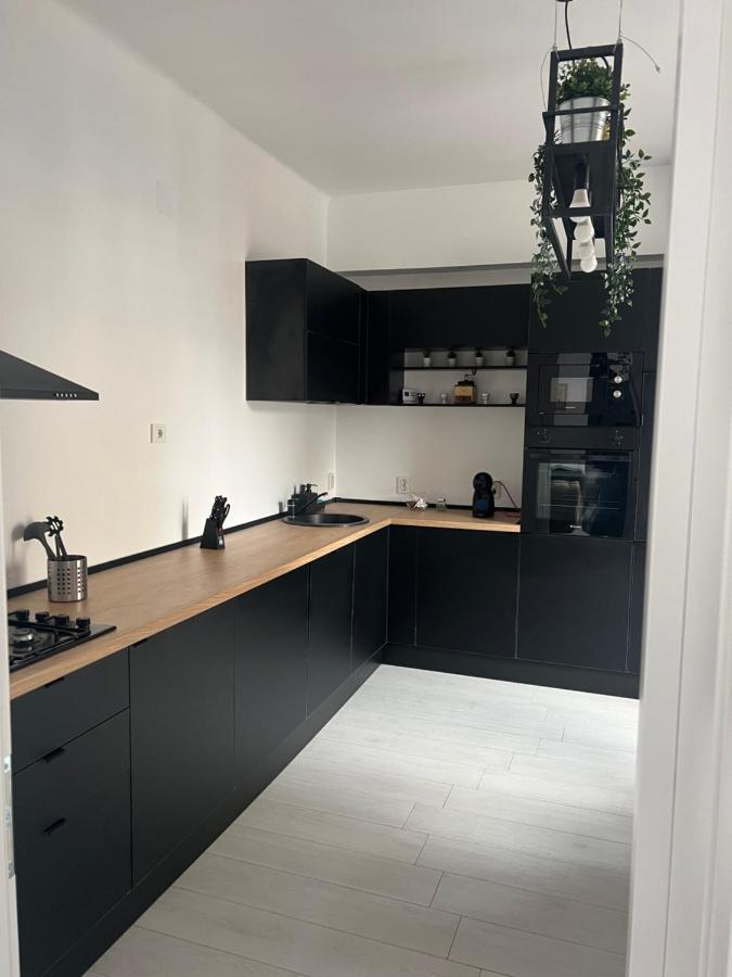 Ultracentral Apartament Calea Victoriei Boekarest Buitenkant foto